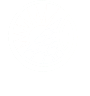 Isotipo Siensol
