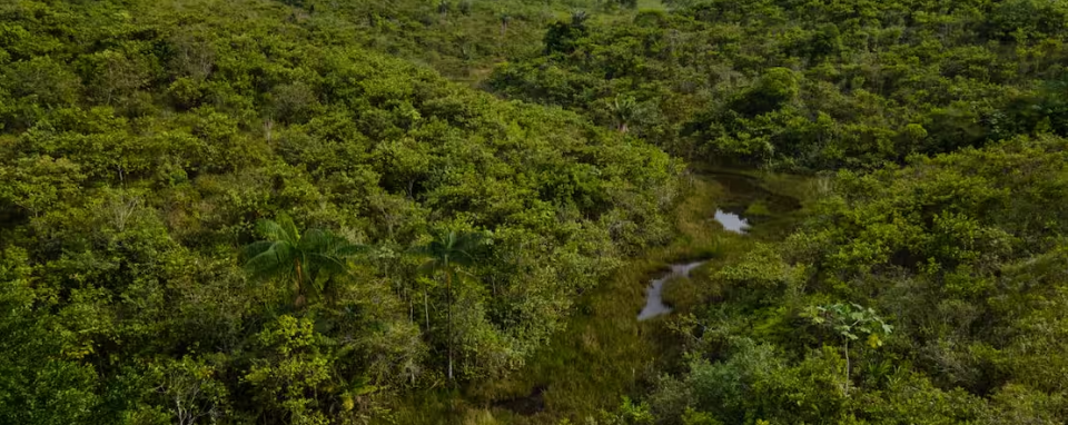 Google Planea Instalar centros de datos con energía solar